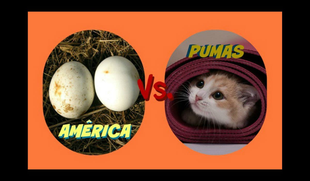 Memes semifinales vuelta del Apertura 2015