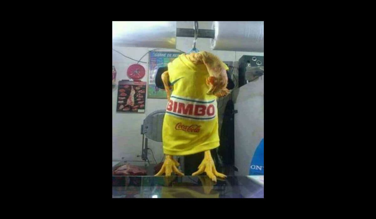 Memes semifinales vuelta del Apertura 2015