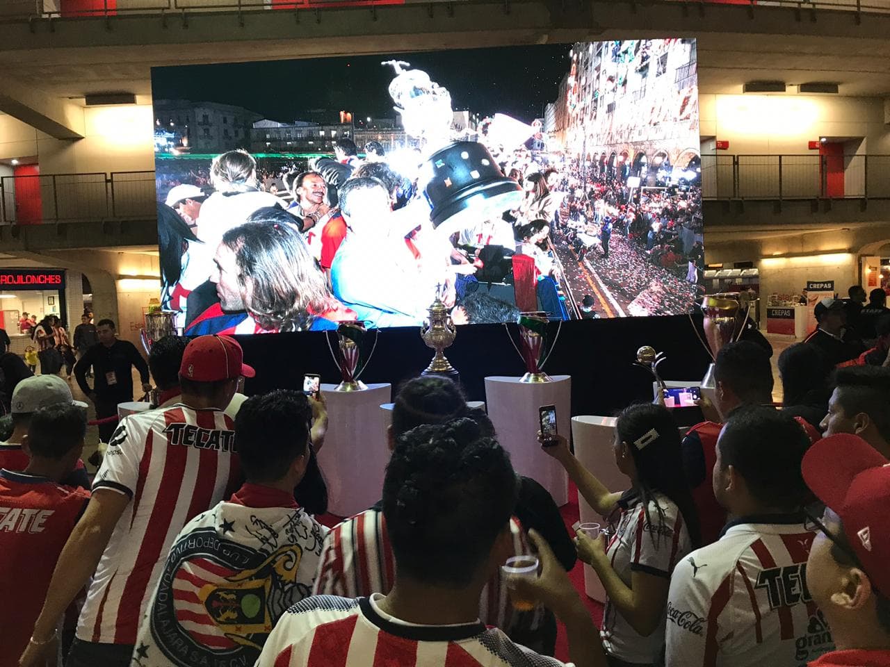 El color del partido entre Chivas y Veracruz para cerrar la actividad en el torneo Apertura 2019 por parte de ambos clubes.