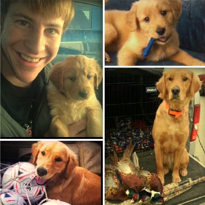 'Henley' es su nombre, y WENTZ le celebra sus cumpleaños.