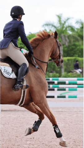 Lori tenía aspiraciones ecuestres y esperaba competir en los Juegos Olímpicos, pero una lesión la obligó a dejar de lado este sueño.