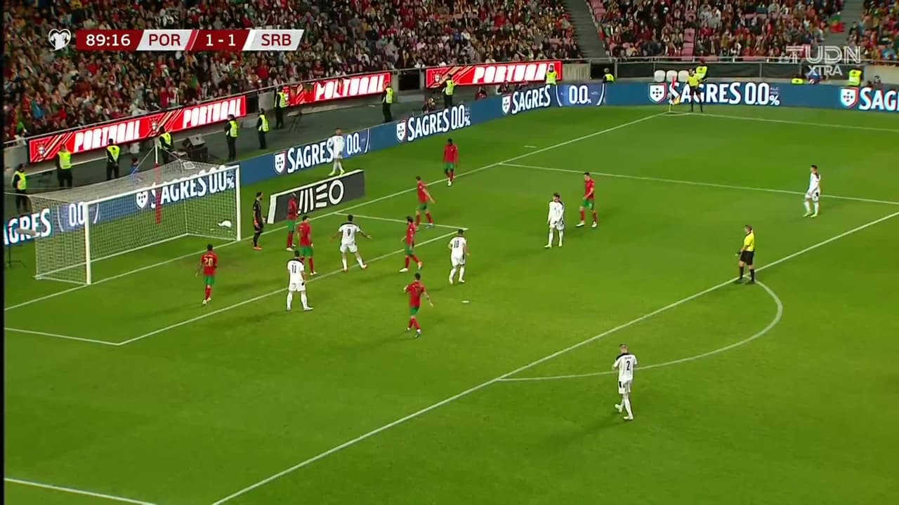 ¡GOL!  anota para Serbia. Aleksandar Mitrovic