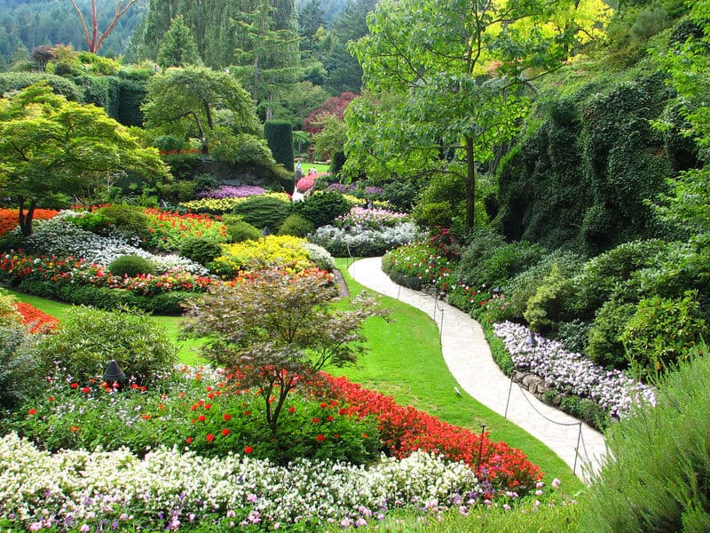 Los parques y espacios verdes proliferan en esta altura del año en Vancouver. Butchart Gardens es uno de los más bonitos en el país.