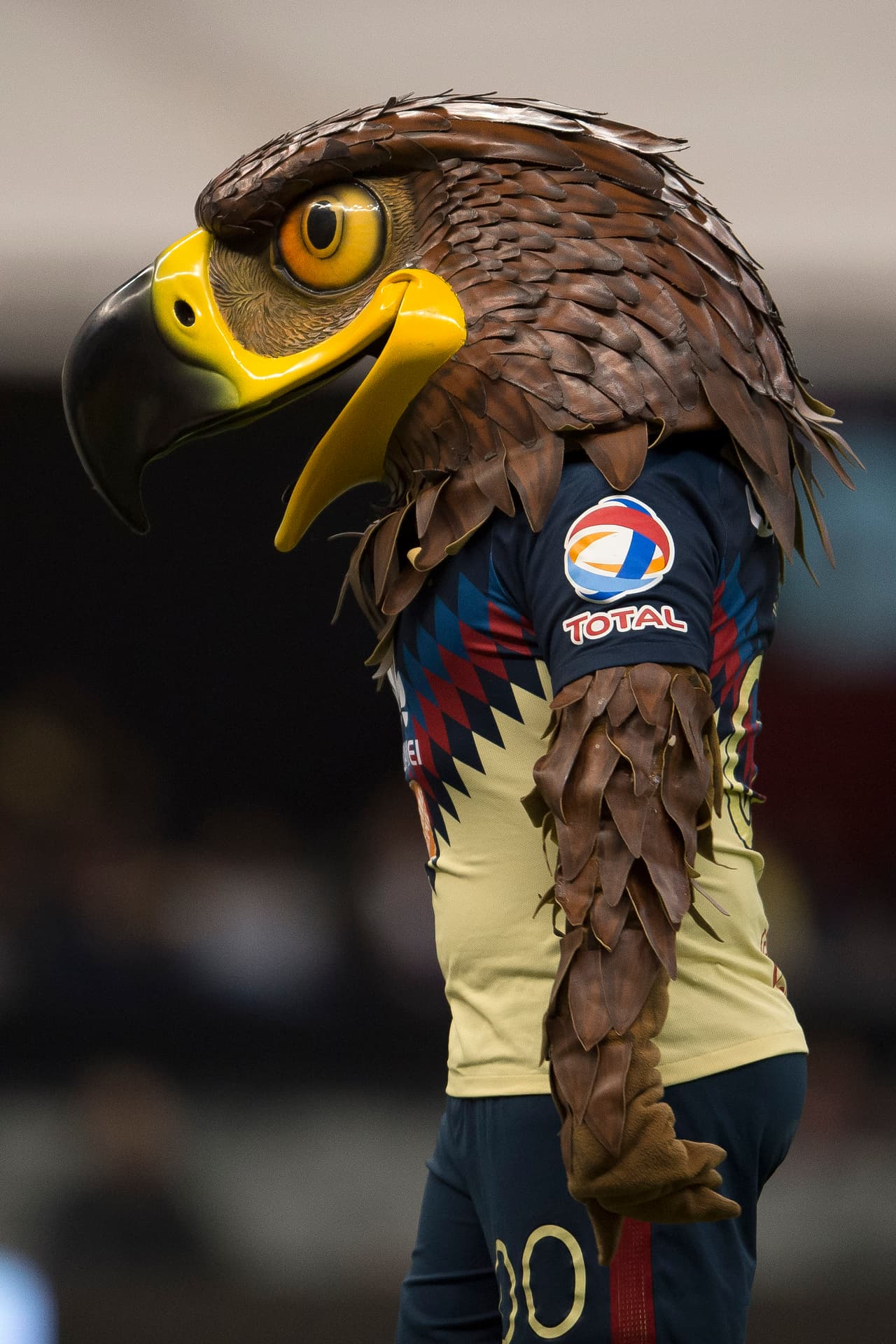 La mascota local también fue un ingrediente importante para los seguidores presentes en el estadio Azteca.