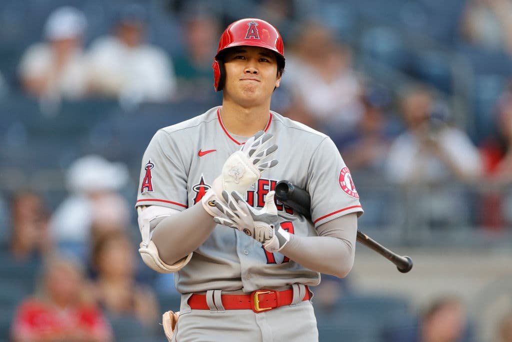 Es un jardinero y lanzador japonés y tiene 44 jonrones esta temporada; actualmente está detrás del líder de la MLB de los Toronto Blue Jays, Vladimir Guerrero Jr., por solo uno.