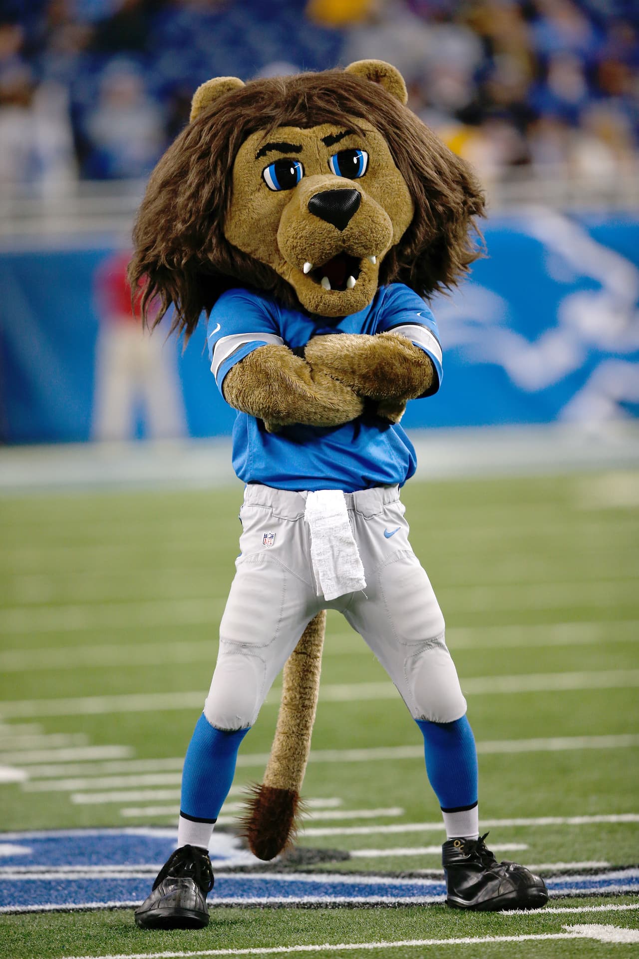 Ya en la Semana 13 de la NFL y los fans siempre presentes. ¡Checa lo mejor de ellos!