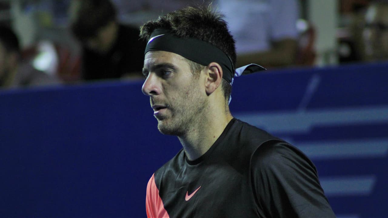 Juan Martín del Potro avanzó a semifinales en el Abierto Mexicano.