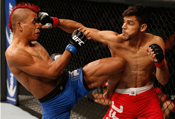 Hizo su debut oficial en la UFC en 2014 en el UFC 180, enfrentando a Leonardo Morales en las finales de peso pluma. Yaír derrotó a Morales por decisión unánime para convertirse en el ganador del torneo.