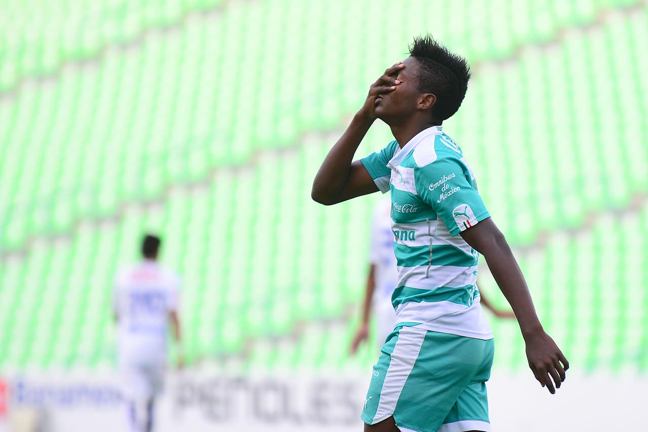 Joao Maleck sale libre