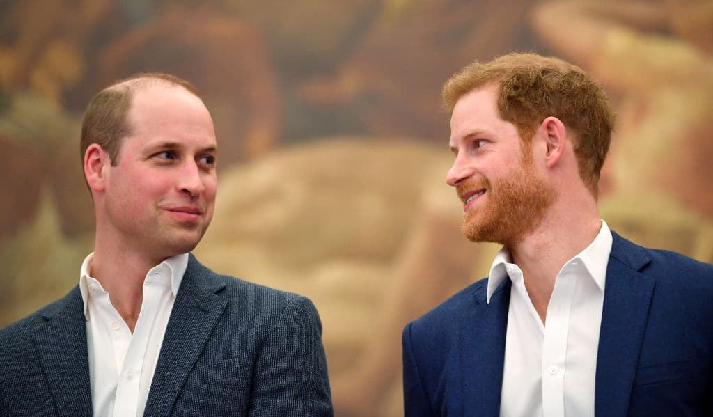 Principes William y Harry