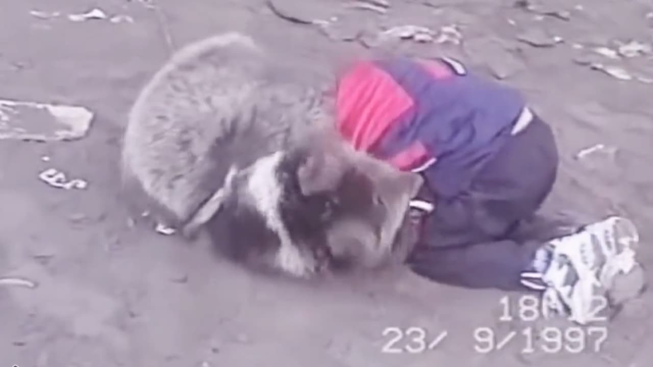 Nurmagomedov, el niño que luchaba con osos y ahora va por McGregor