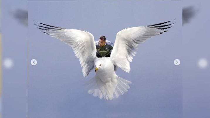 Chicharito encima de una paloma.