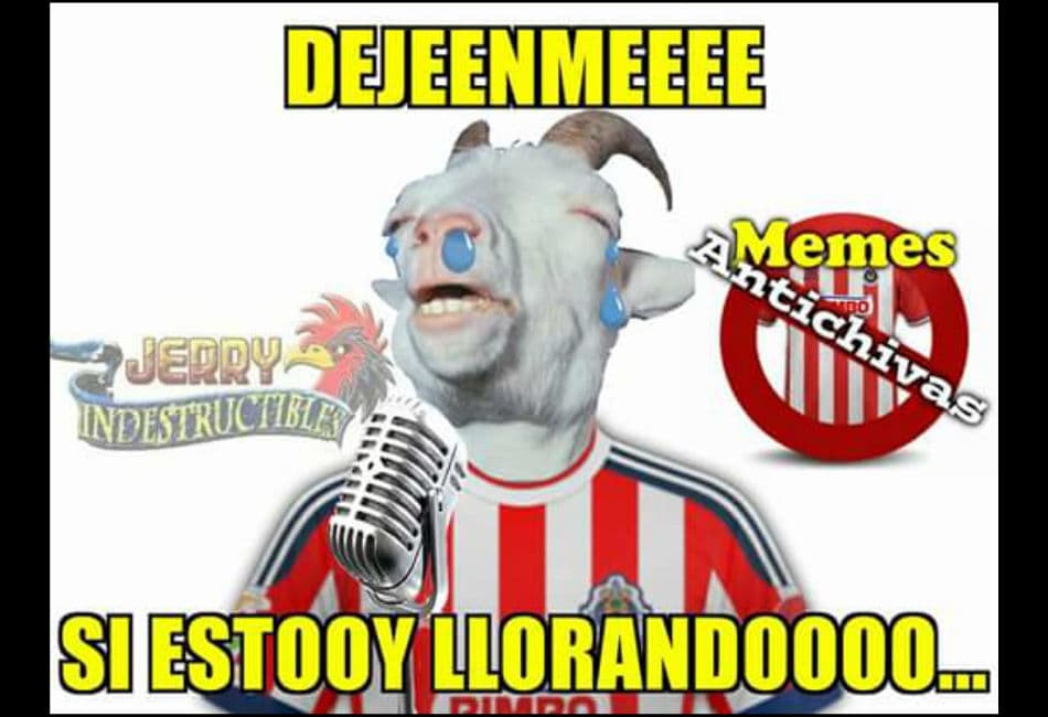 Memes de la jornada 12 Apertura 2015