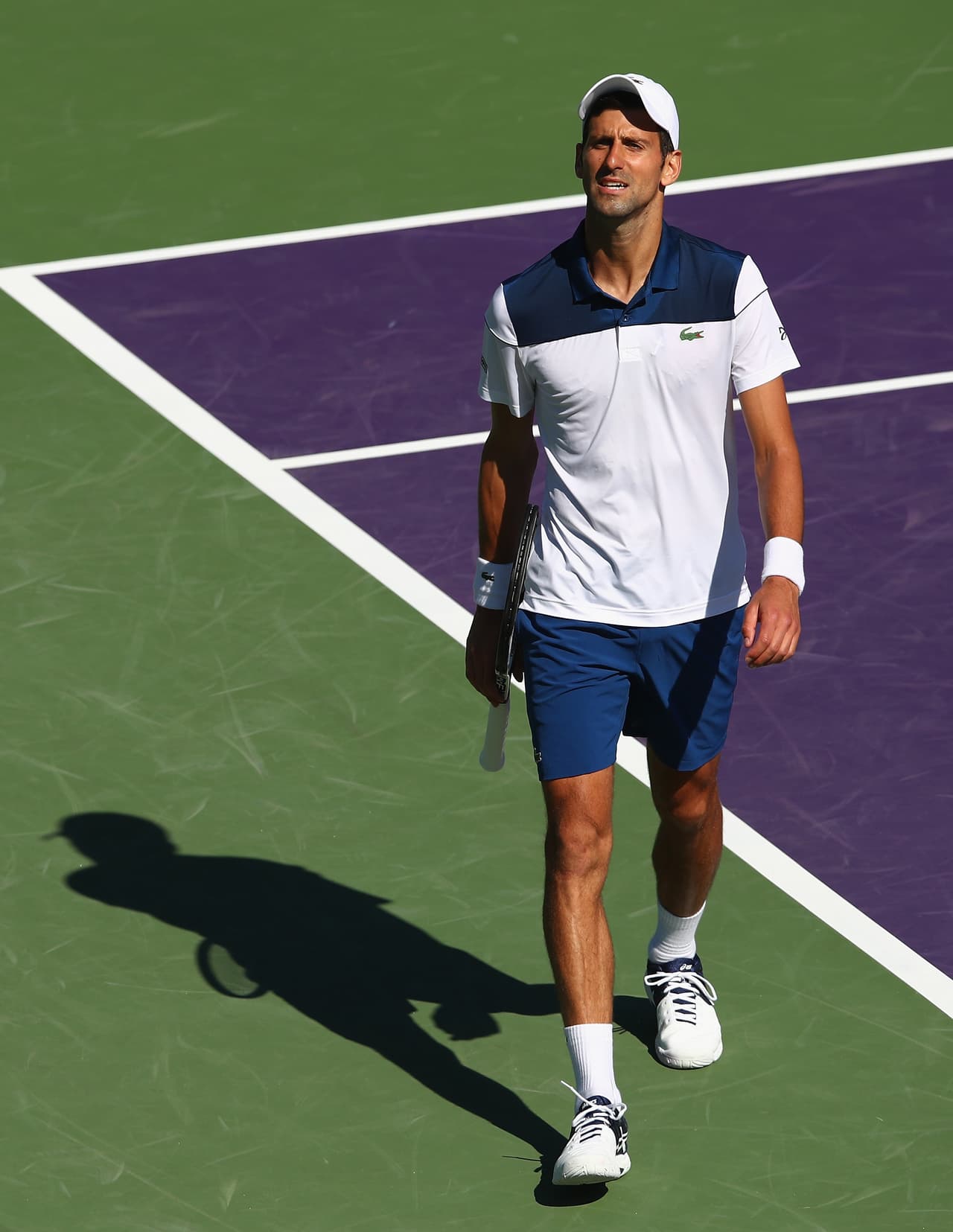 'Nole' lleva en lo que va de año un récord de tres victorias, todas ellas en el Abierto de Australia, y el mismo número de derrotas, cifras que constatan el actual momento del tenista de Belgrado.