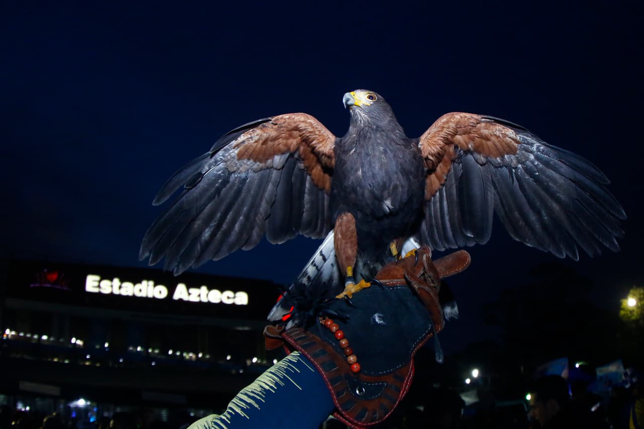 El emblema y la razón de ser del nombre de guerra del América. Una hermosa ave de caza, desplegando sus alas de manera majestuosa.