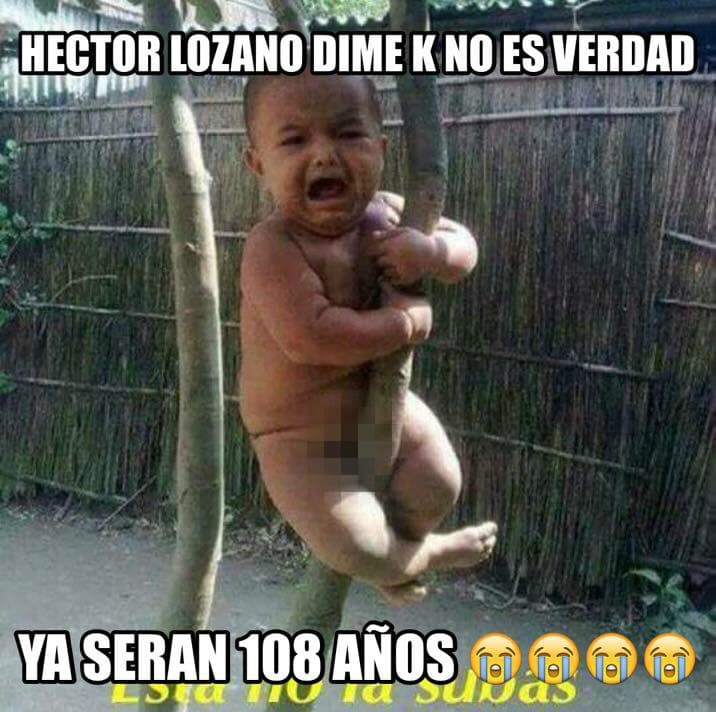 Las redes sociales no perdonan y luego de que los Cachorros cayeron ante los Mets 8 a 3 en el cuarto juego de la Liga Nacional, los memes no se hicieron esperar.