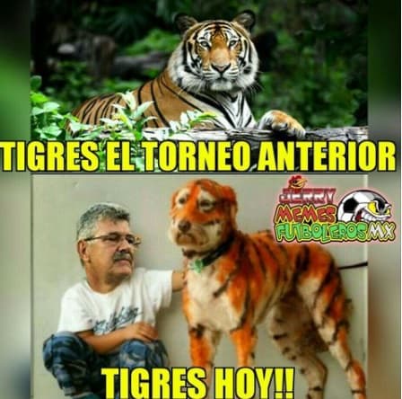 Puebla consiguió un gran resultado contra el actual campeón de la Liga MX y las redes sociales reaccionaron.