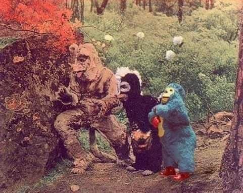 El pequeño gran luchador del CMLL se ha vuelto famoso en redes sociales.