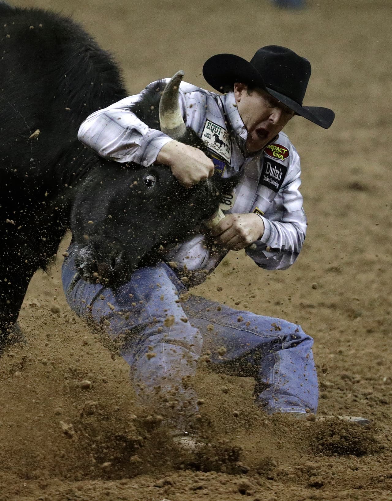 Los competidores persiguen desde el caballo al animal y lo sostienen de sus cuernos, que aunque por tamaño no son de mucho peligro, se deben manejar con cuidado para evitar accidentes.