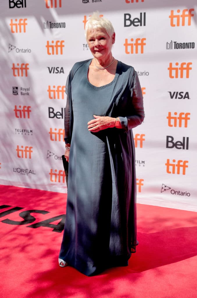 Miss Peregrine's Home for Peculiar Children (2016) - Jacob de 16 años, es un chico con problemas para relacionarse y muy unido a su abuelo.
<br>