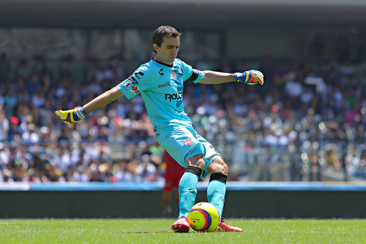 <b>Marcelo Barovero</b>: 
<i>Portero del Año</i>. El guardameta argentino defendió la meta del Necaxa durante los últimos cuatro torneos, antes de fichar para Monterrey, su equipo a partir del Apertura 2018.