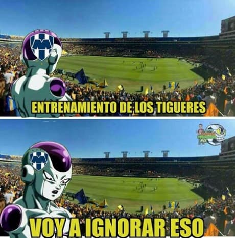 Memes Tigres campeon Apertura 2017