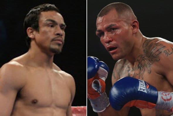 El 17 de mayo Juan Manuel Márquez buscará demostrar que aún está para las grandes peleas, después de su derrota ante Timothy Bradley. 'Dinamita' tendrá enfrente a Mike Alvarado poniendo a prueba su futuro.