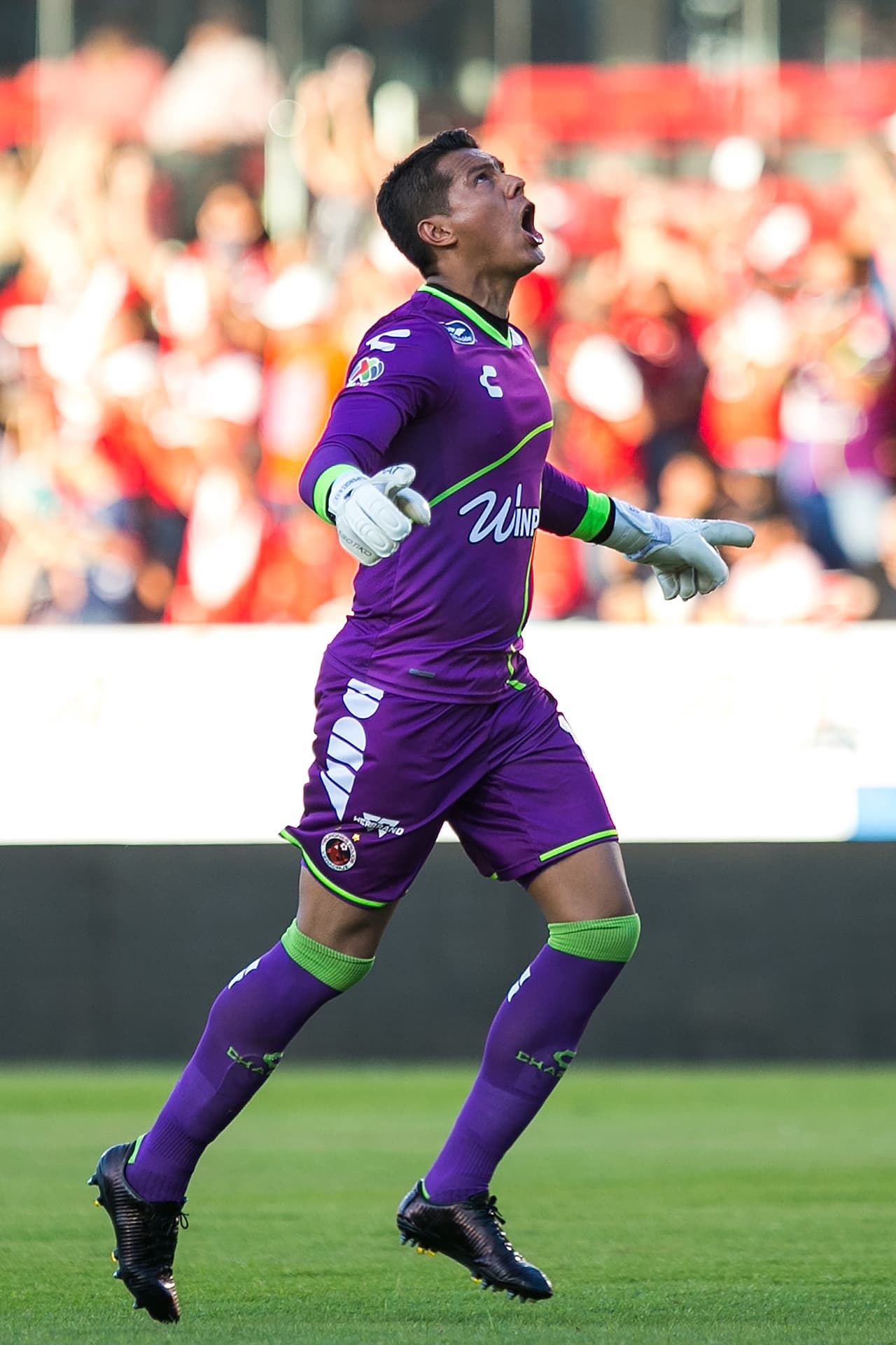 Veracruz 1 - 0 Tijuana