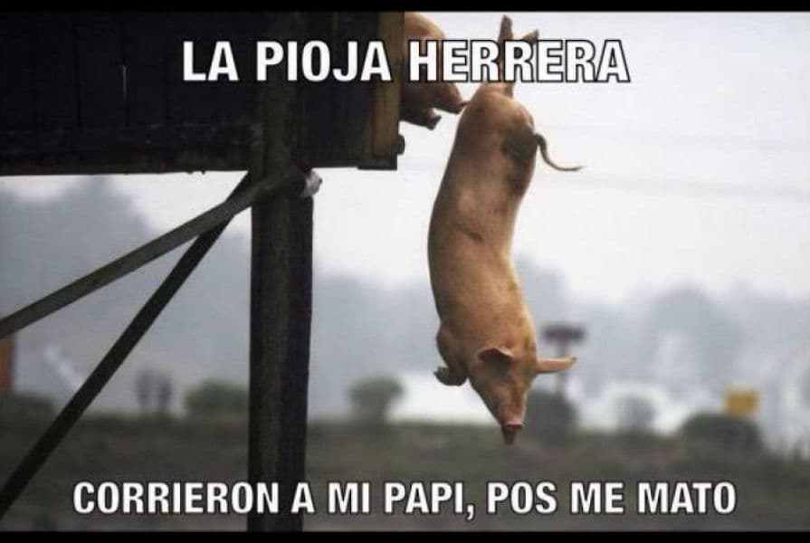 Los memes del despido del 'Piojo' Herrera