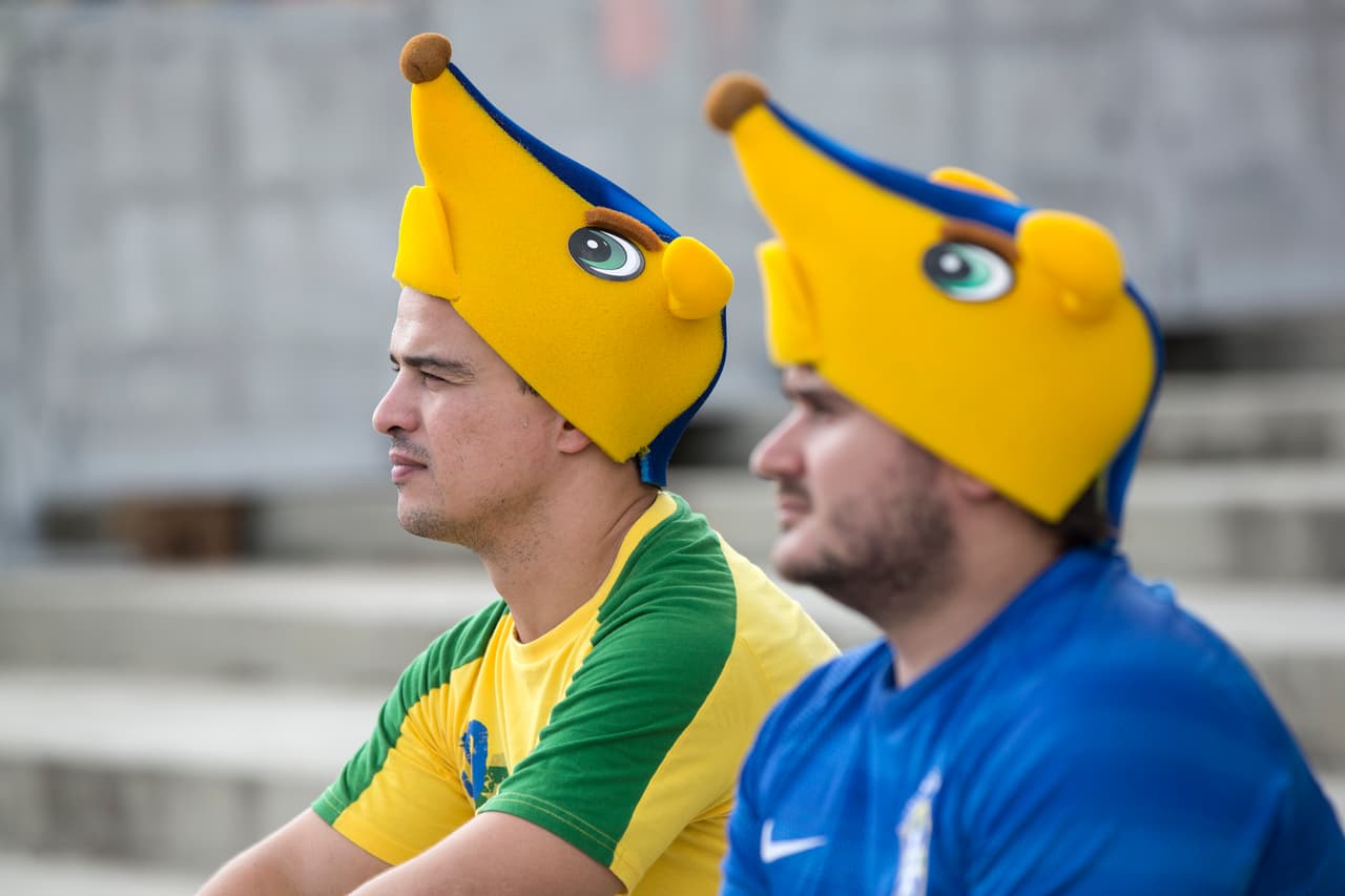 Los fanáticos se sintieron identificados con este representante y la mercancía de Fuleco se vio como parte de la fiesta en los escenarios de fútbol y en las calles. Un Fuleco es un morral de fútbol en Brasil.