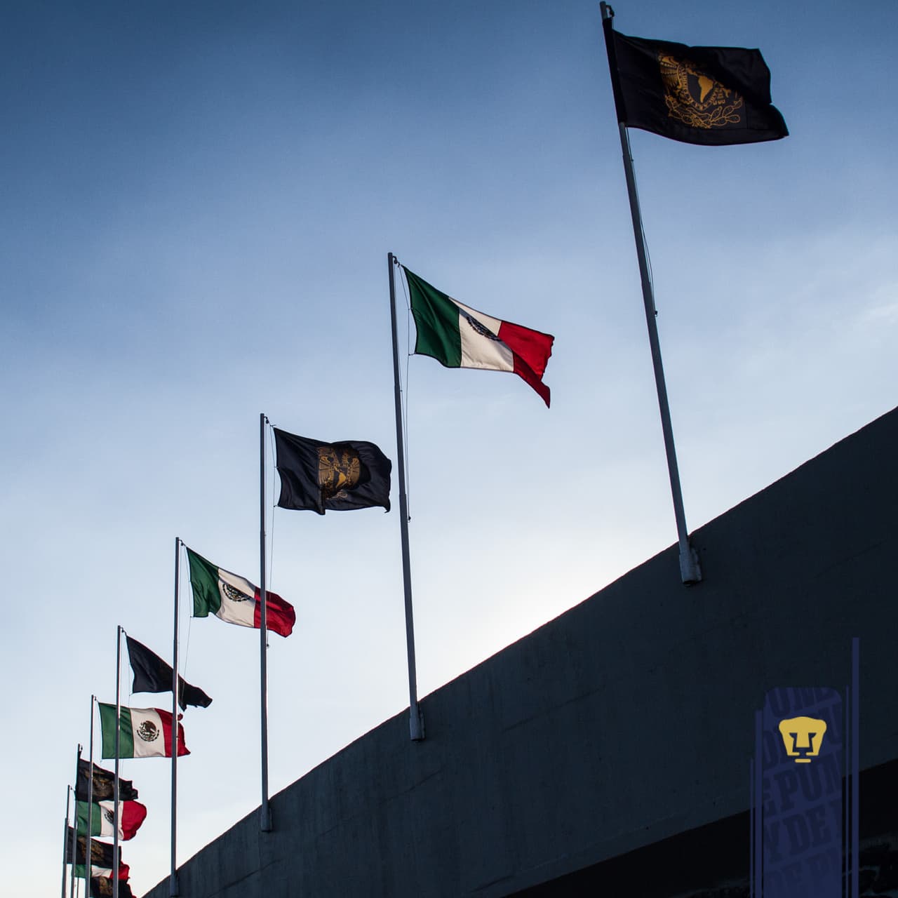 Pumas UNAM