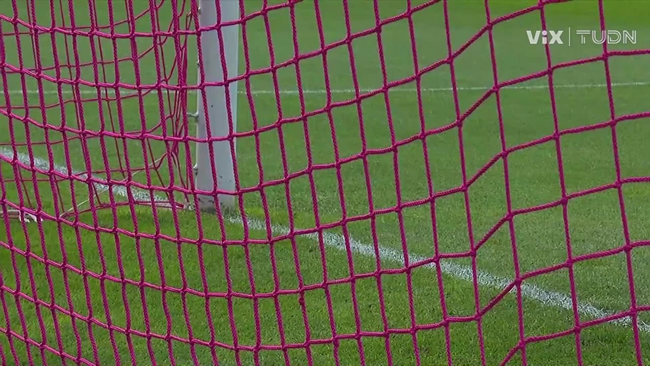 Atlético San Luis vs. Santos Laguna - Resumen del partido