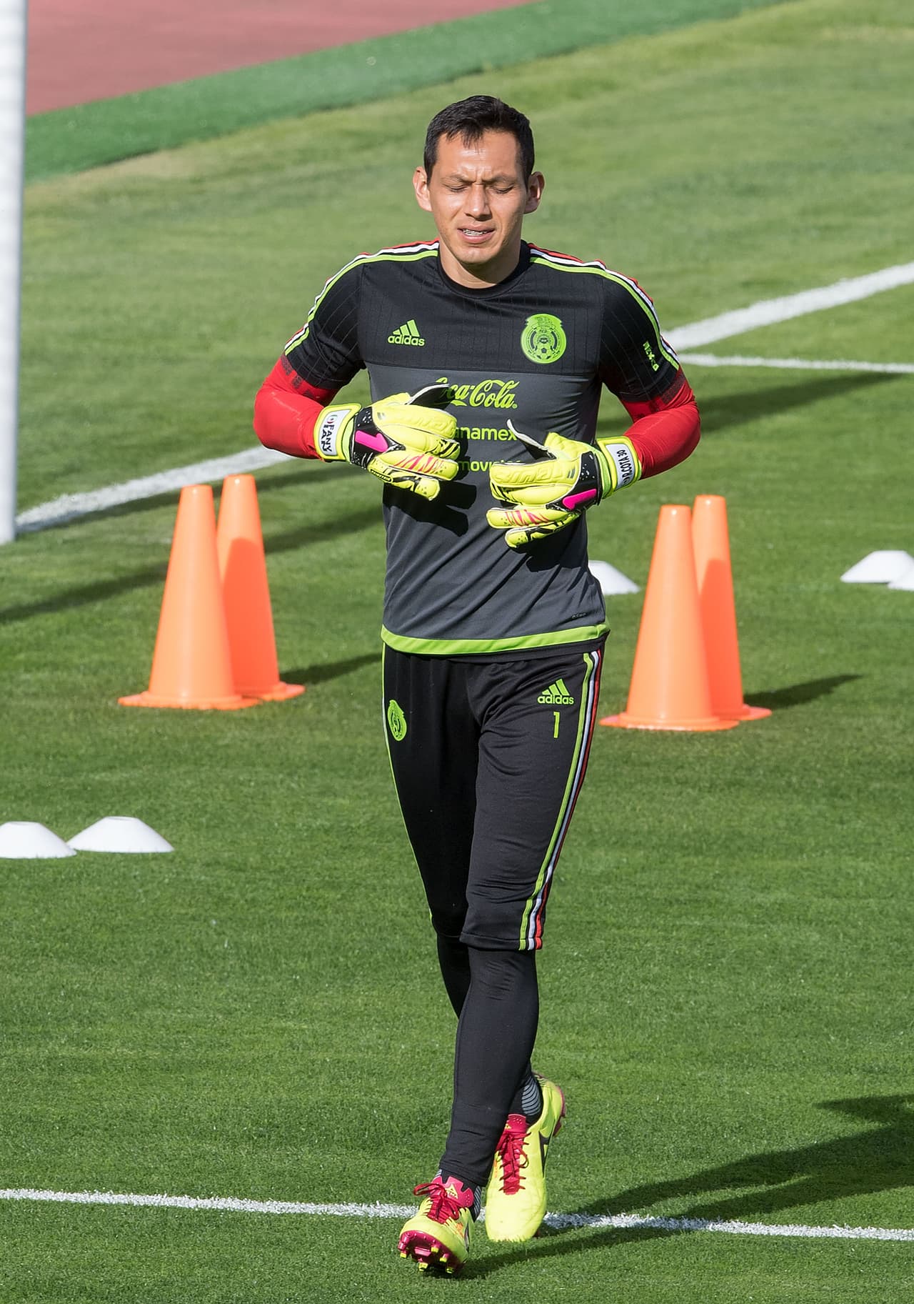 Para esto Cota, que pertenece a Tuzos y terminó su contrato con Guadalajara, deberá regresar a Pachuca que ahora mismo juega el Mundial de Clubes.