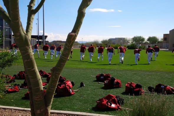 "Detrás" de los entrenamientos de primavera de la MLB, los atléticos jugadores de las grandes ligas muestran todo su talento... y mucho más que eso. Aparte de ejercitarse y compartir con sus seguidores, los beisbolistas lucieron sus atributos de espalda especialmente para las fans.