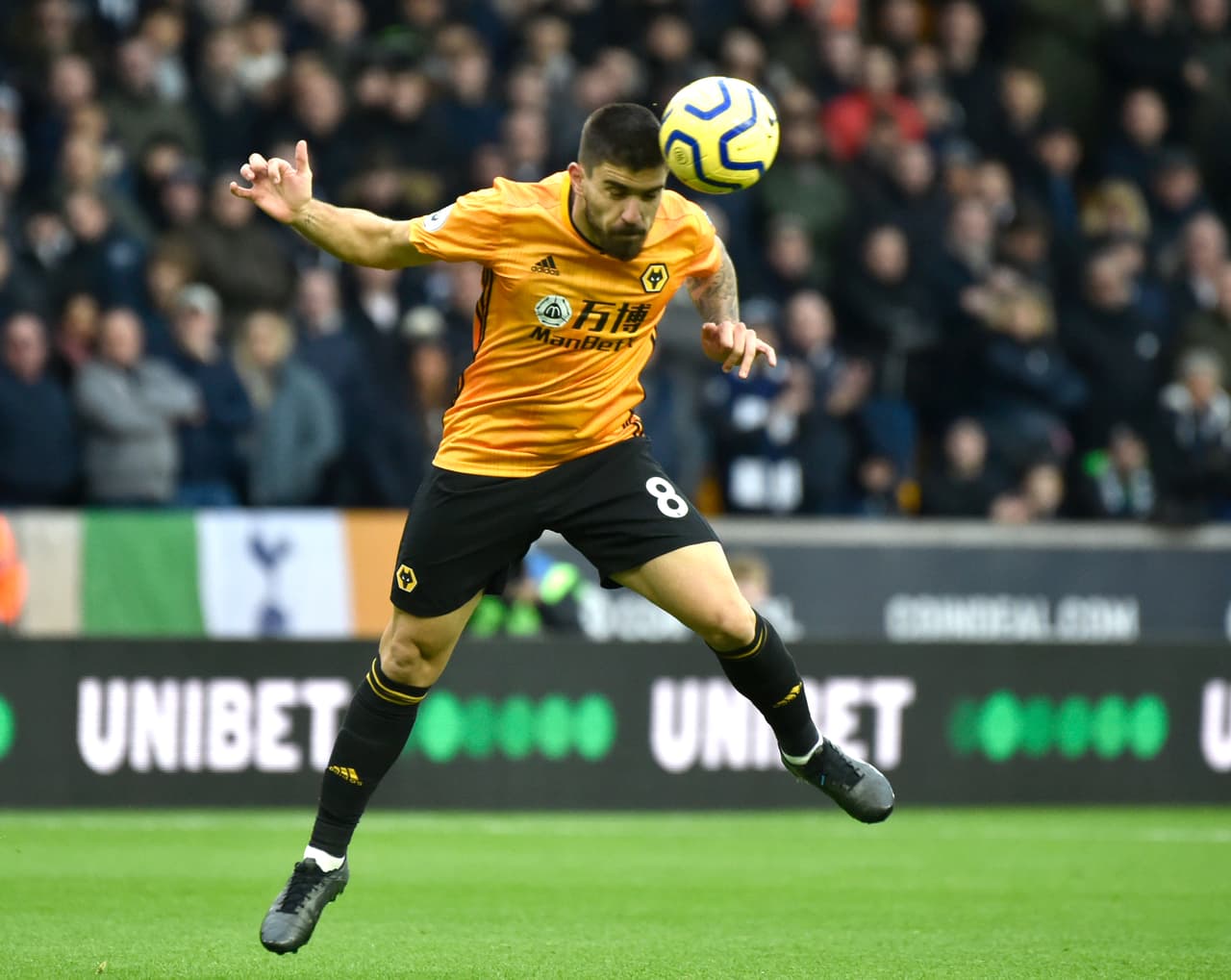 Con gol de último minuto de Vertonghen, Tottenham logra rescatar los tres puntos en casa ante Wolverhampton que no dejó de luchar hasta el último minuto, sin embargo Spurs se queda con el triunfo. Raúl Jiménez tuvo presencia en el partido, sin embargo no logró anotar.
