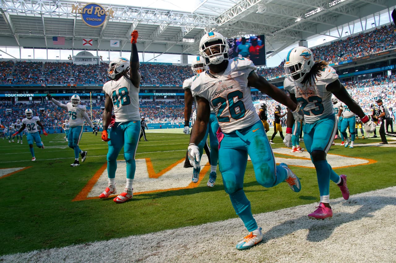 <b>MIAMI DOLPHINS</b>
<br>Los Dolphins vienen de su primera temporada ganadora en ocho años y su reaparición en los playoffs, aunque se despidieron muy temprano. Luego de sorprender con un gran cierre ganando nueve de sus últimos once juegos, acabaron con marca de 10-6 y calificaron como equipo comodín. En el Wild Card se vieron las caras con los Steelers y fueron exhibidos 30-12 en Pittsburgh.