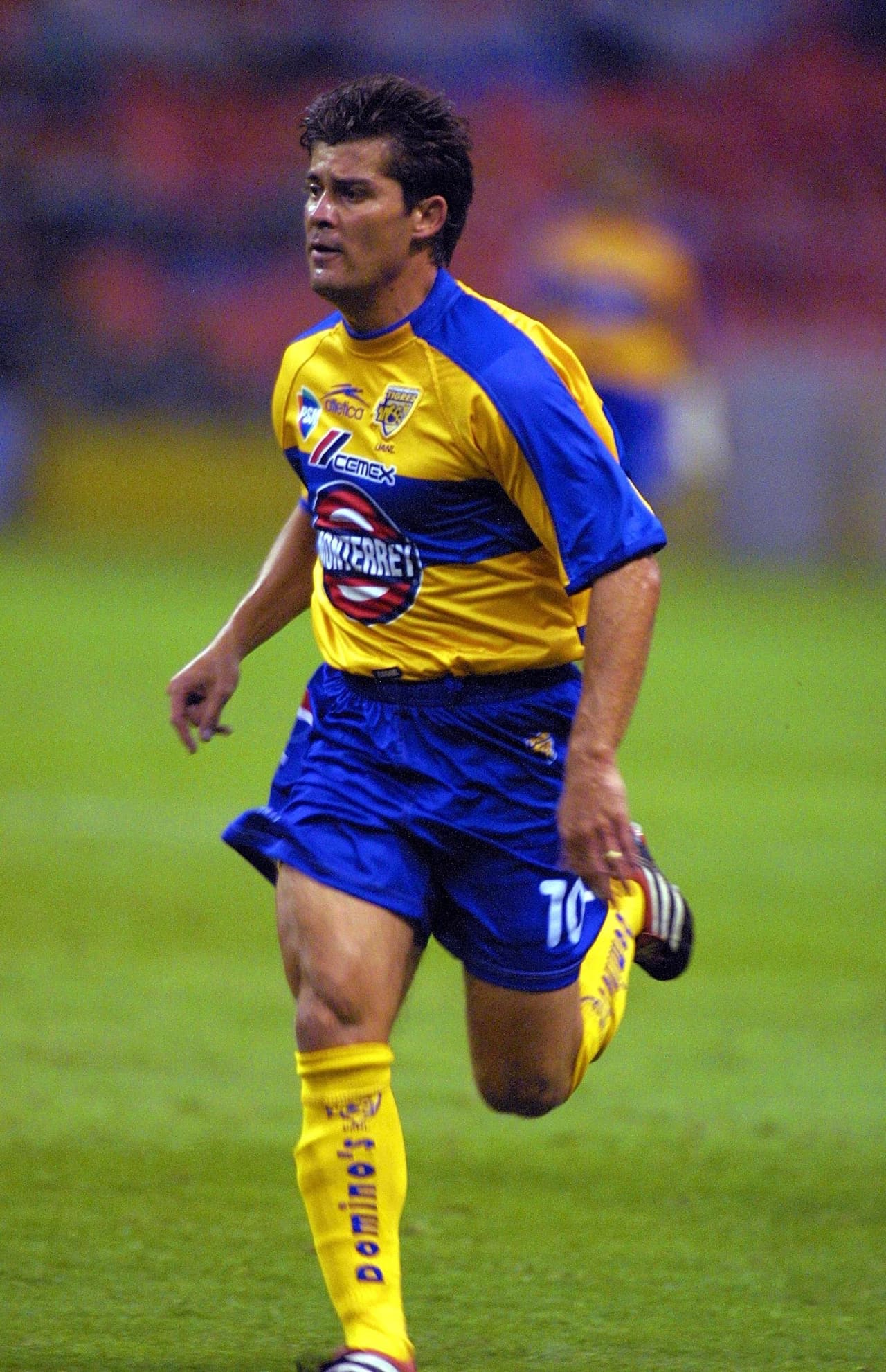 De allí pasó a Tigres hasta el 2001, hasta que regresó al Rebaño.
