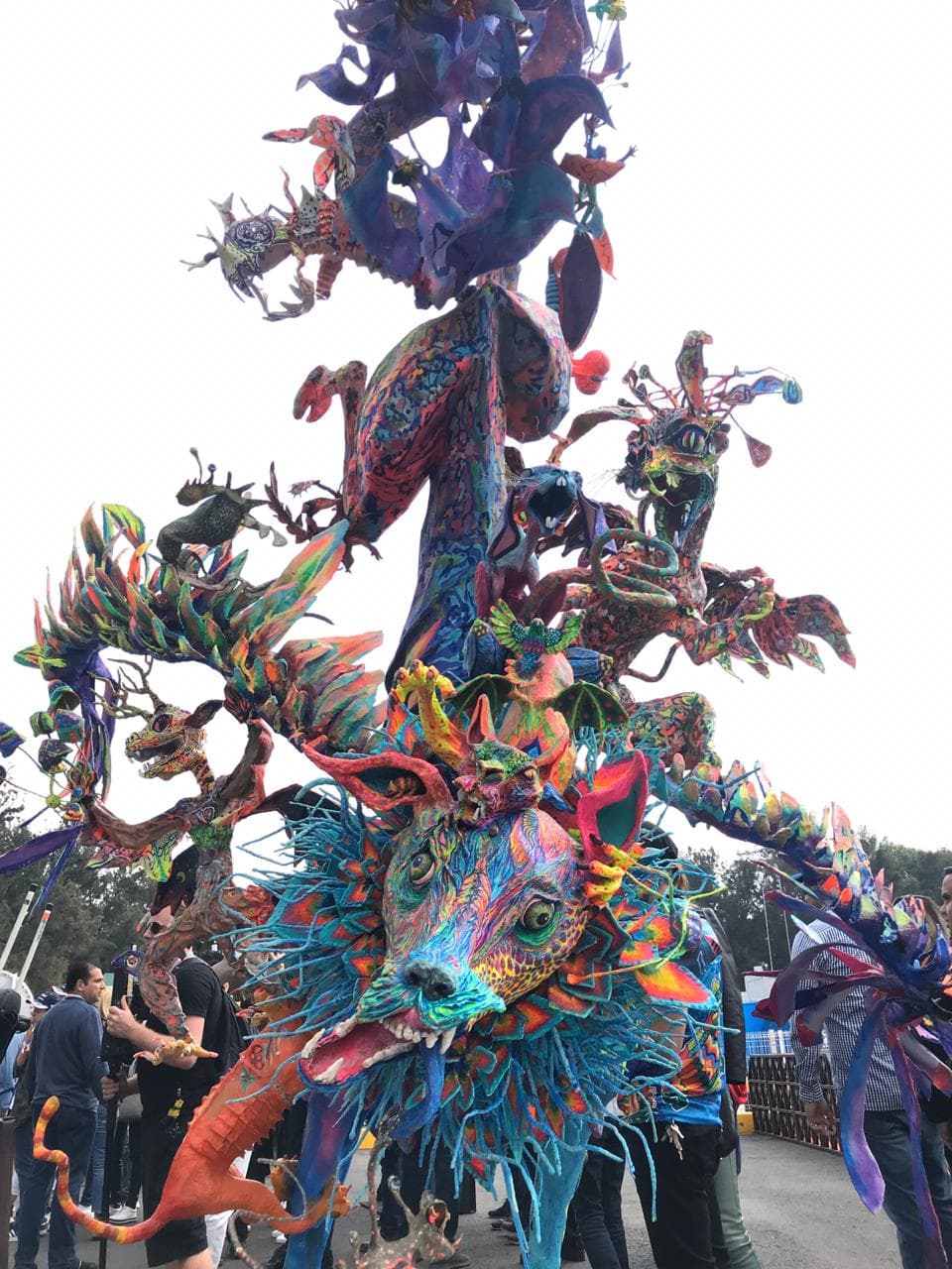 Color de las clasificatorias del GP de México.