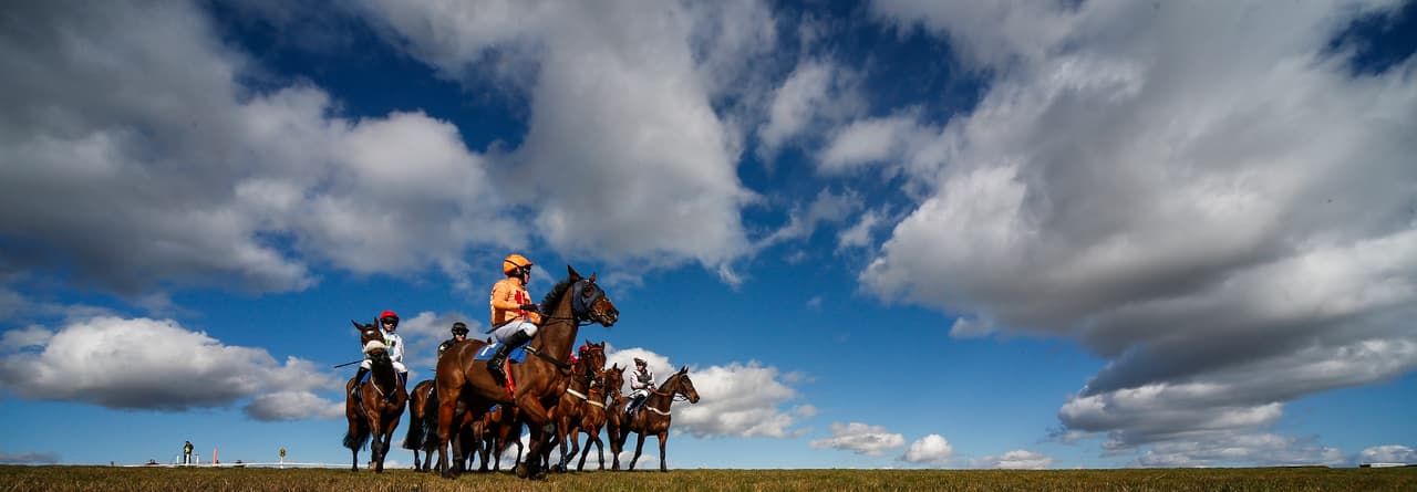 En el rigor de las competencias muchas veces aparecen postales deportivas, que como en este caso en una competencia de equitación en Wincanton (Inglaterra) ofrecen paisajes e imágenes espectaculares.