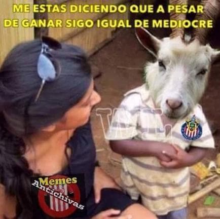 América, Cruz Azul y Chivas tuvieron una muy mala Jornada 16 y los memes no perdonaron sus descalabros