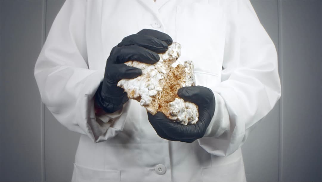 Esta es una versión vegana de sus icónicas zapatillas Stan Smith hechas con cuero a base de hongos.