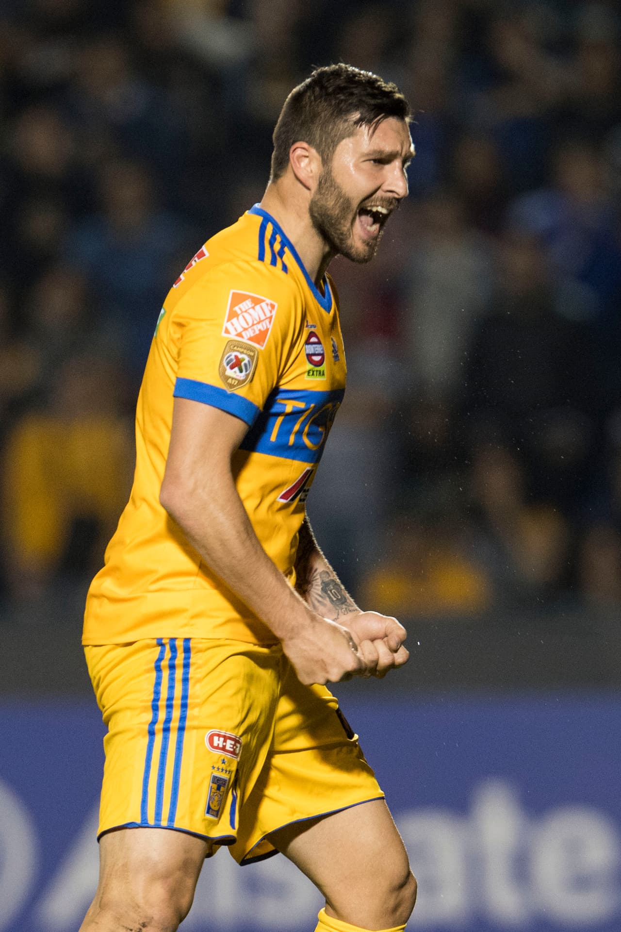 02 - André-Pierre Gignac - (Tigres) - 8 goles