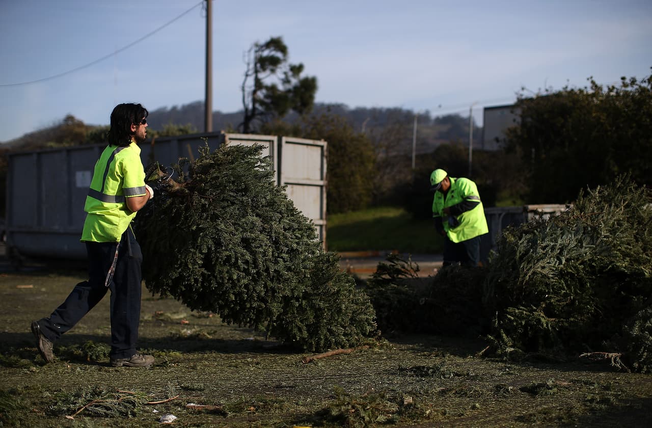 Esto es lo que debes hacer para desechar tu árbol de Navidad de la manera correcta