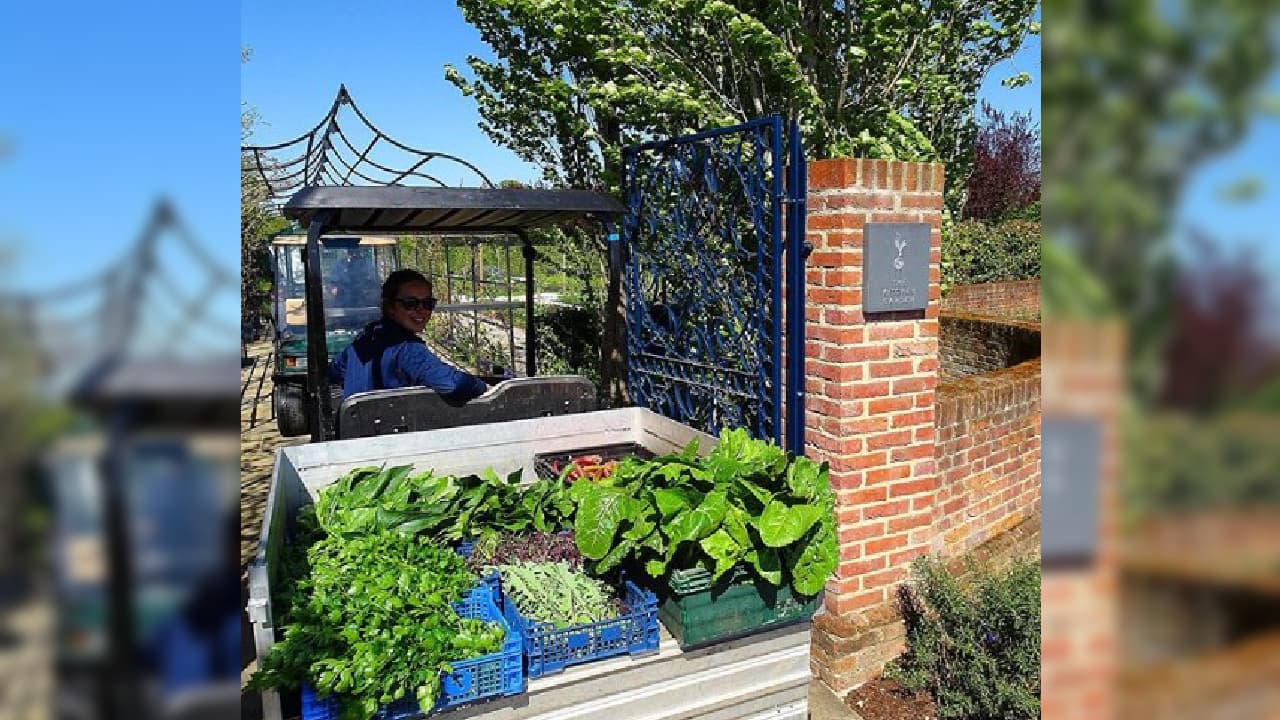 Los alimentos provienen directamente del huerto del club inglés. Es una muestra del compromiso que mantiene Tottenham con los sectores más necesitados.