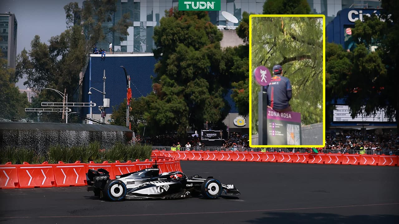 ¡Hasta en los árboles! Ojo a lo que hicieron los fans por ver a Checo Pérez