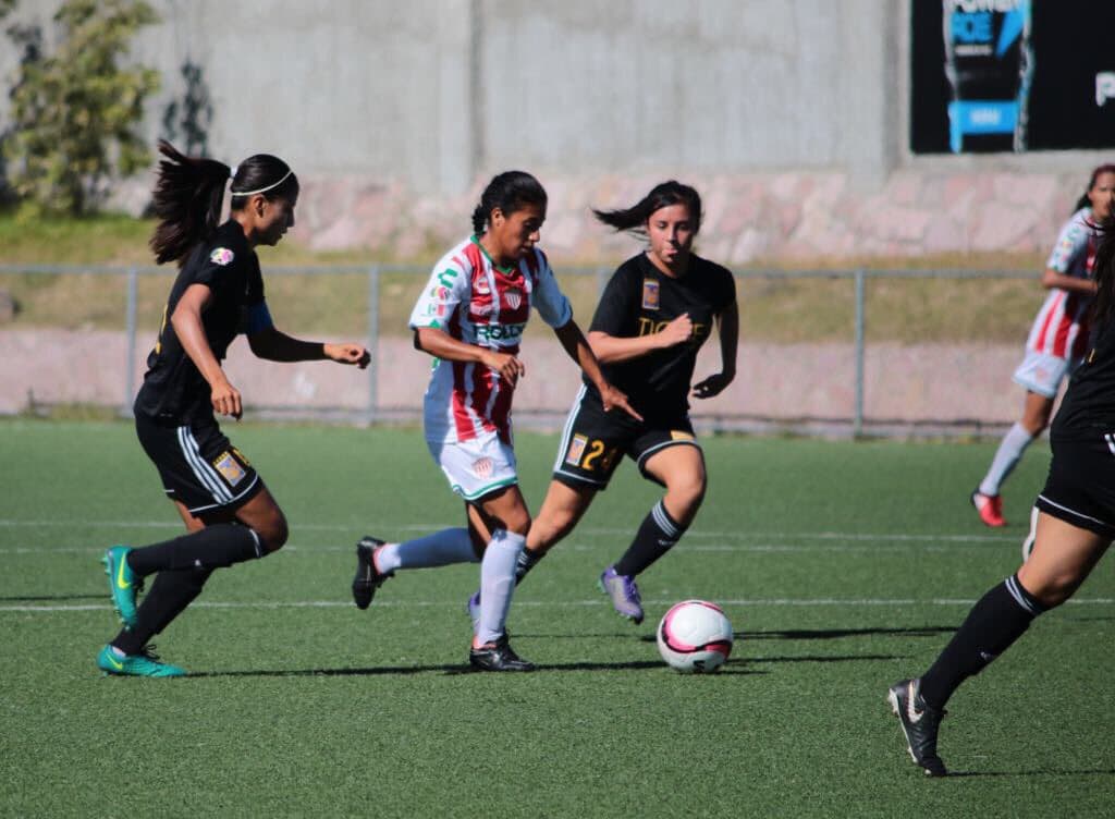 Tigres disputará las semifinales de la Liga MX femenil.