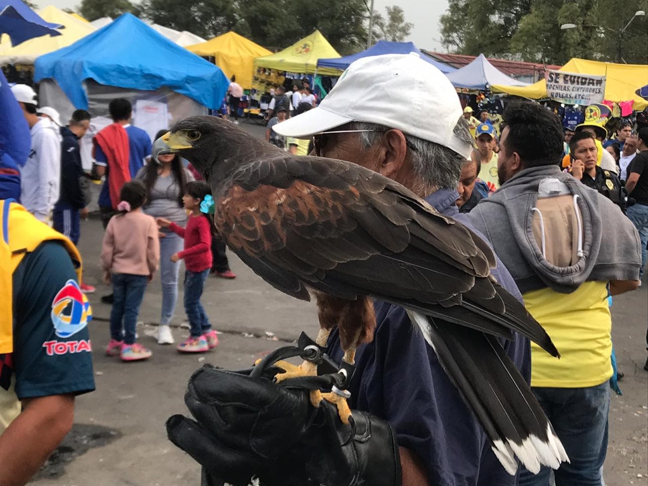 Llega el atardecer en la Ciudad de México y Coloso de Santa Úrsula se prepara para vivir otro Clásico Joven.