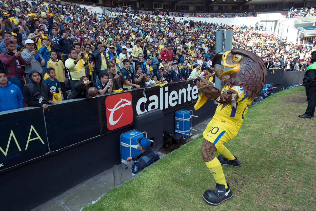 Las Águilas, tanto el equipo varonil y femenil, convivieron con los aficionados y se tomaron la foto oficial con ellos en el Estadio Azteca.