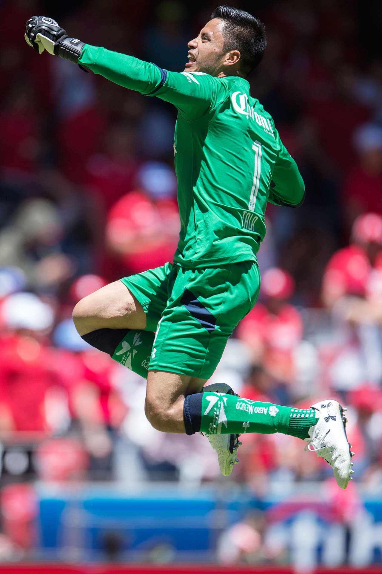 ¡Así se festeja un gran torneo!