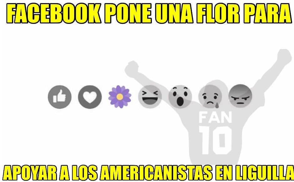 Pumas se llevó las burlas de los aficionados de la Liga MX al quedarse sin Liguilla en el C2016.